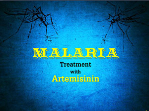 Malaria Treatment with Artemisinin